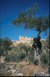 Alquézar
